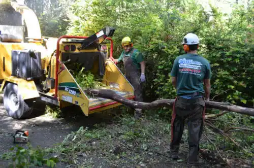 tree services Chillicothe